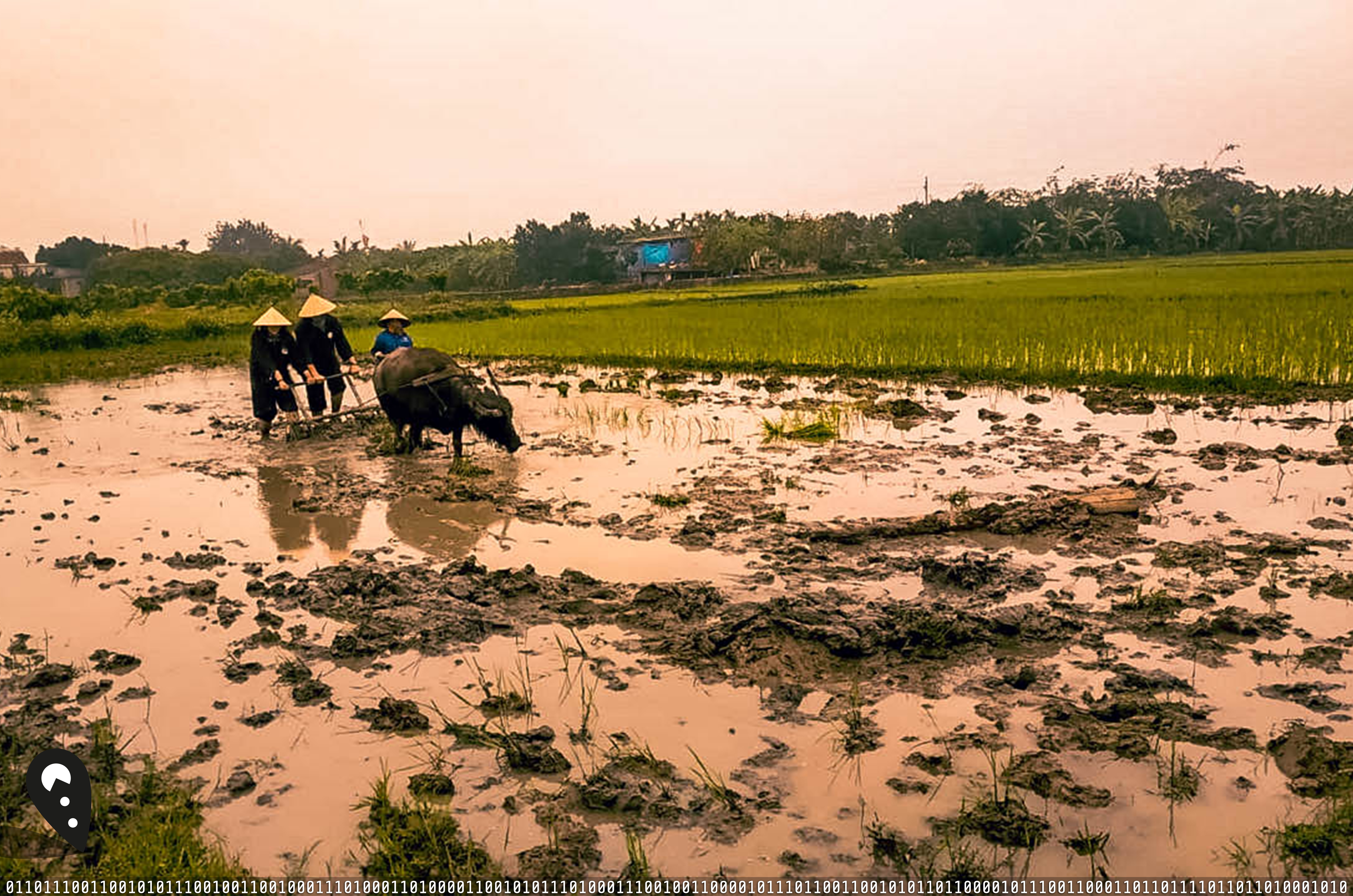 Nella cacca fino alle ginocchia