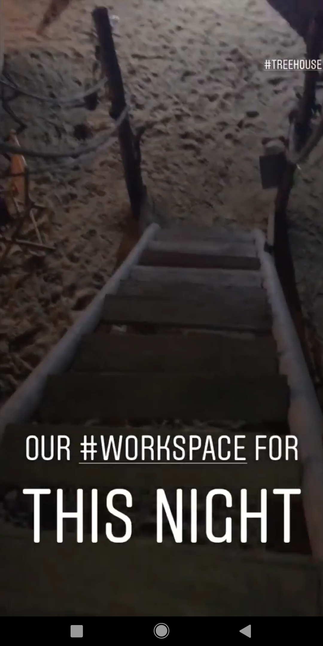 Una casa sull'albero di fronte
            all'oceano